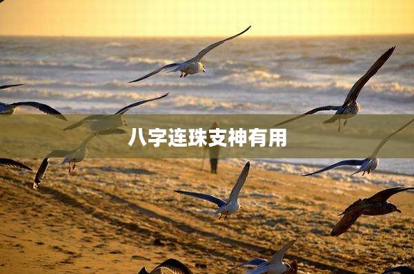 八字连珠支神有用