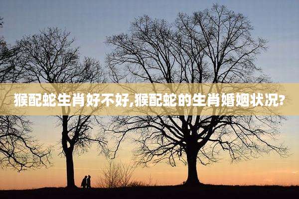 猴配蛇生肖好不好,猴配蛇的生肖婚姻状况?