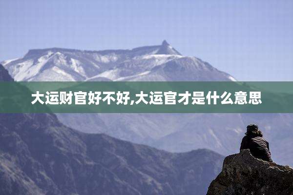 大运财官好不好,大运官才是什么意思