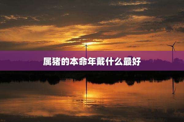 属猪的本命年戴什么最好