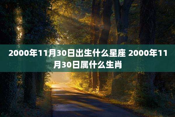 2000年11月30日出生什么星座 2000年11月30日属什么生肖