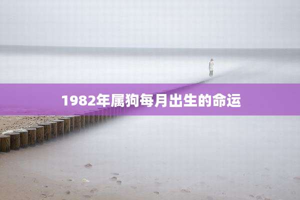 1982年属狗每月出生的命运