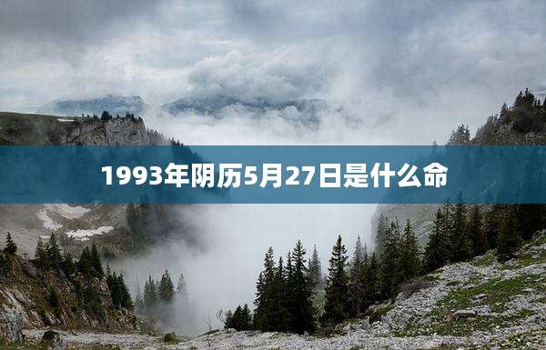 1993年阴历5月27日是什么命