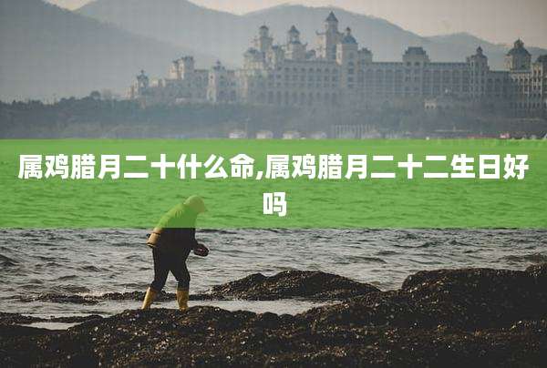 属鸡腊月二十什么命,属鸡腊月二十二生日好吗