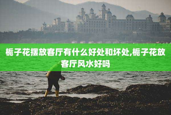 栀子花摆放客厅有什么好处和坏处,栀子花放客厅风水好吗