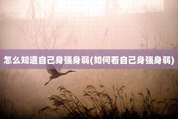 怎么知道自己身强身弱(如何看自己身强身弱)