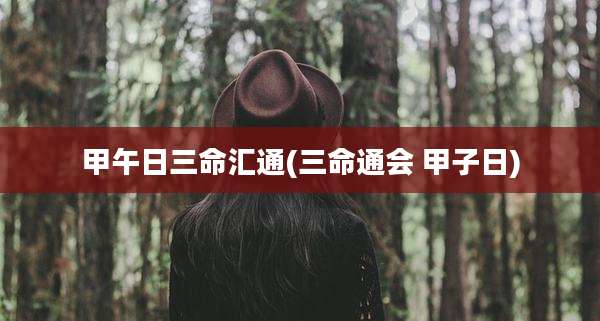 甲午日三命汇通(三命通会 甲子日)