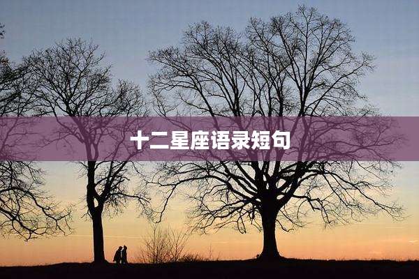 十二星座语录短句
