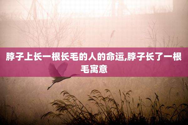 脖子上长一根长毛的人的命运,脖子长了一根毛寓意