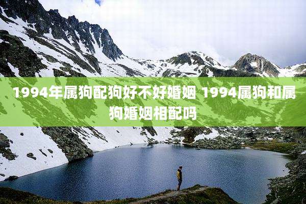 1994年属狗配狗好不好婚姻 1994属狗和属狗婚姻相配吗