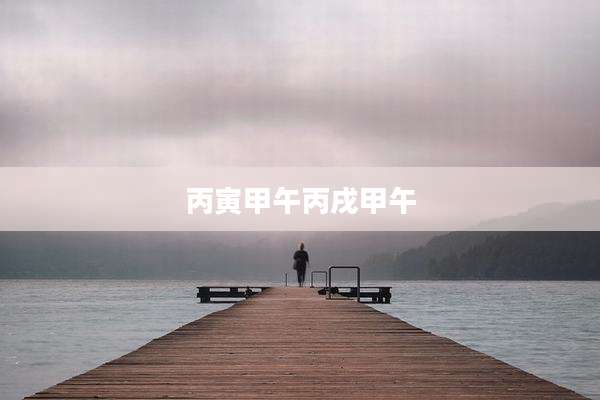 丙寅甲午丙戌甲午