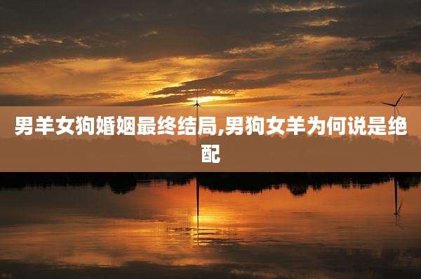 男羊女狗婚姻最终结局,男狗女羊为何说是绝配