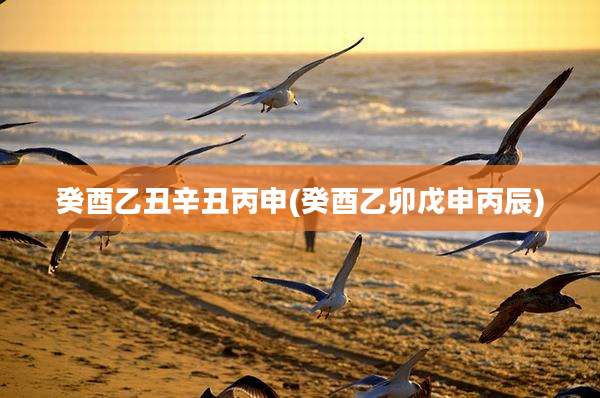 癸酉乙丑辛丑丙申(癸酉乙卯戊申丙辰)