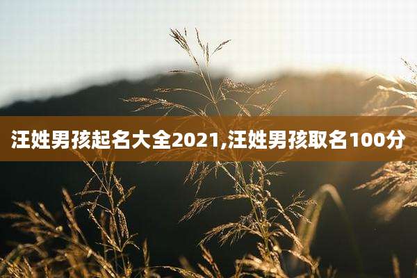 汪姓男孩起名大全2021,汪姓男孩取名100分
