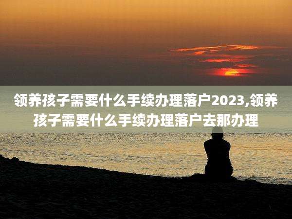 领养孩子需要什么手续办理落户2023,领养孩子需要什么手续办理落户去那办理