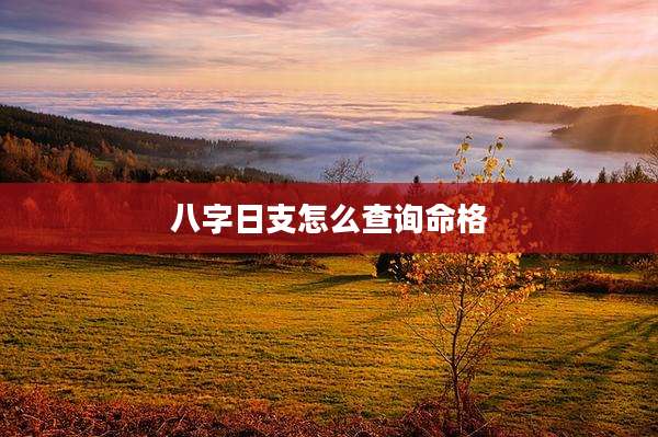 八字日支怎么查询命格