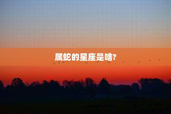 属蛇的星座是啥?