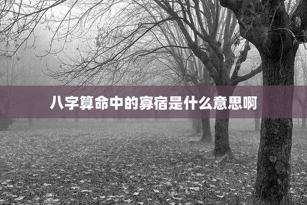 八字算命中的寡宿是什么意思啊