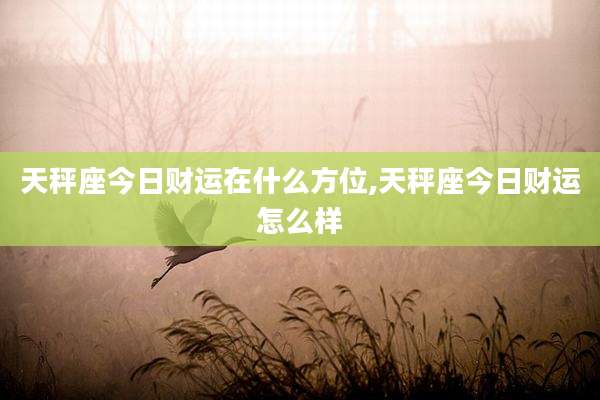 天秤座今日财运在什么方位,天秤座今日财运怎么样