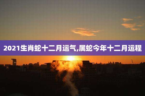 2021生肖蛇十二月运气,属蛇今年十二月运程