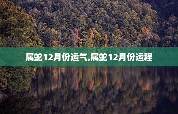 属蛇12月份运气,属蛇12月份运程