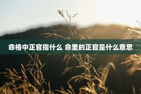 命格中正官指什么 命里的正官是什么意思