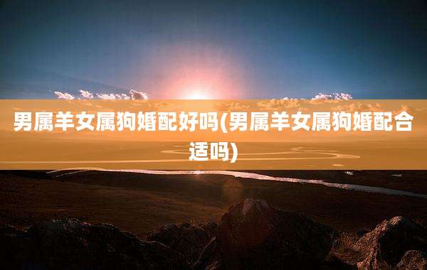 男属羊女属狗婚配好吗(男属羊女属狗婚配合适吗)