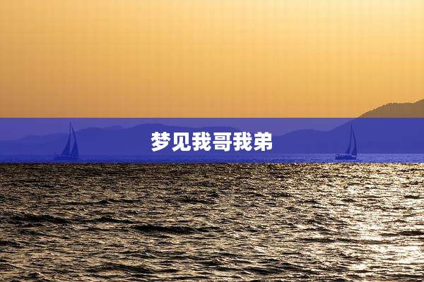 梦见我哥我弟