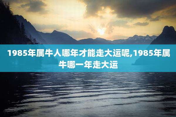 1985年属牛人哪年才能走大运呢,1985年属牛哪一年走大运