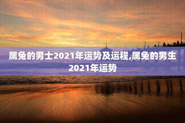属兔的男士2021年运势及运程,属兔的男生2021年运势