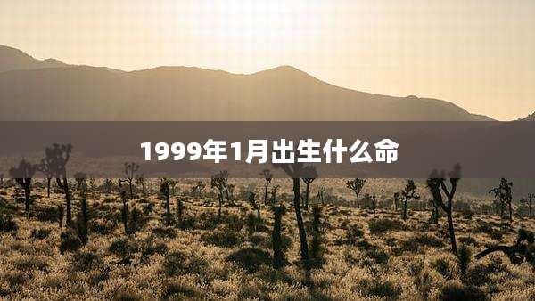 1999年1月出生什么命