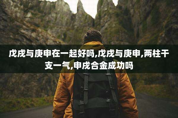 戊戌与庚申在一起好吗,戊戌与庚申,两柱干支一气,申戌合金成功吗