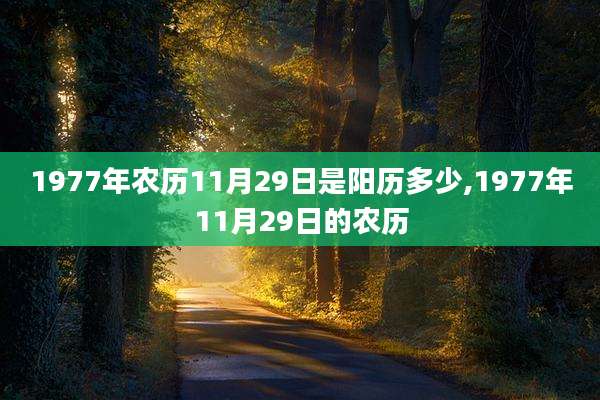 1977年农历11月29日是阳历多少,1977年11月29日的农历