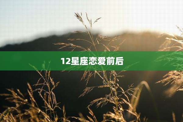 12星座恋爱前后