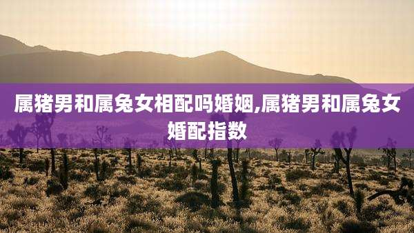属猪男和属兔女相配吗婚姻,属猪男和属兔女婚配指数