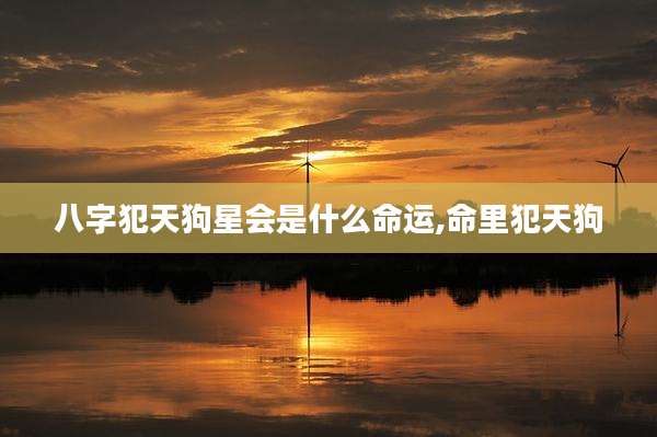 八字犯天狗星会是什么命运,命里犯天狗