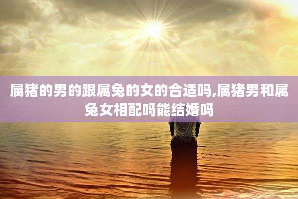 属猪的男的跟属兔的女的合适吗,属猪男和属兔女相配吗能结婚吗
