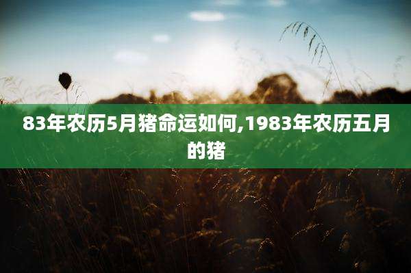 83年农历5月猪命运如何,1983年农历五月的猪