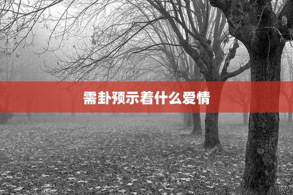 需卦预示着什么爱情
