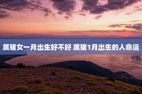 属猪女一月出生好不好 属猪1月出生的人命运