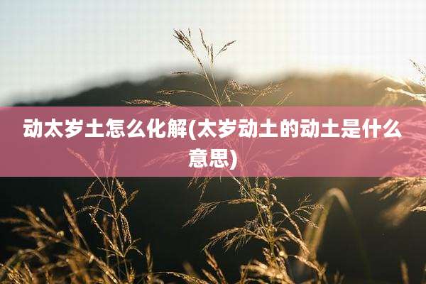 动太岁土怎么化解(太岁动土的动土是什么意思)