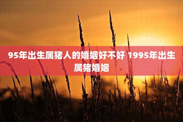 95年出生属猪人的婚姻好不好 1995年出生属猪婚姻