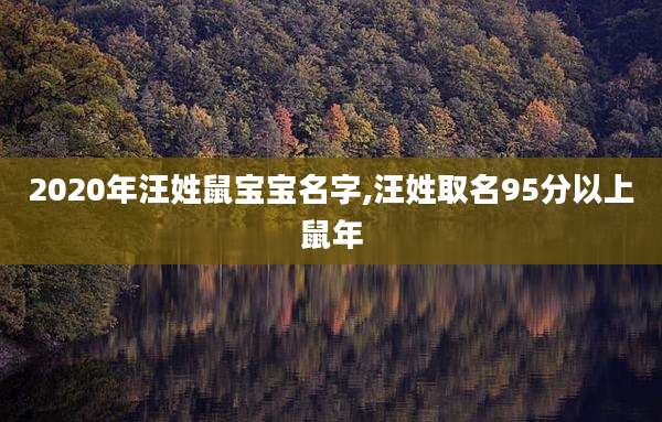 2020年汪姓鼠宝宝名字,汪姓取名95分以上鼠年