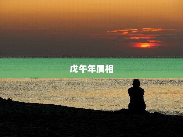 戊午年属相