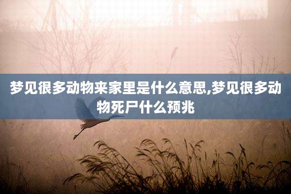 梦见很多动物来家里是什么意思,梦见很多动物死尸什么预兆