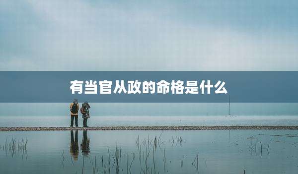 有当官从政的命格是什么