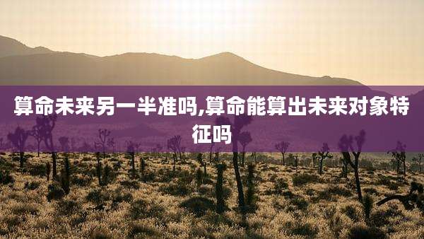 算命未来另一半准吗,算命能算出未来对象特征吗