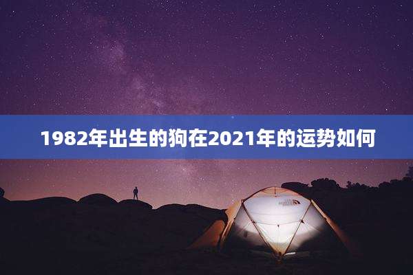 1982年出生的狗在2021年的运势如何