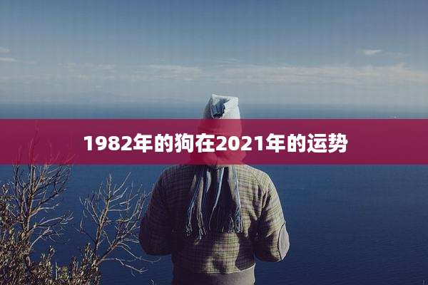 1982年的狗在2021年的运势