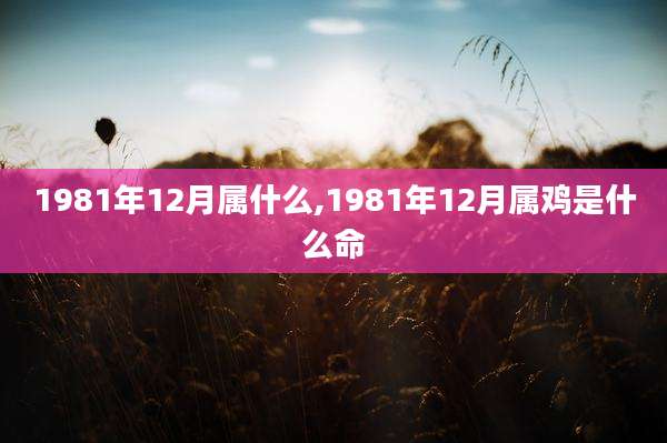 1981年12月属什么,1981年12月属鸡是什么命